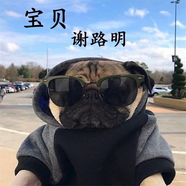 宝贝
