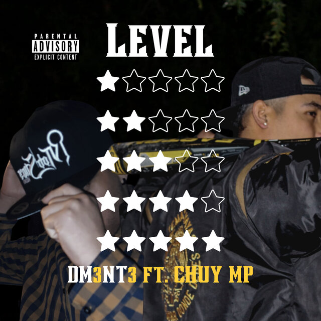 Level