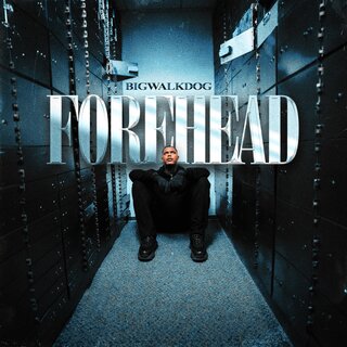 BigWalkDog - TIDAL