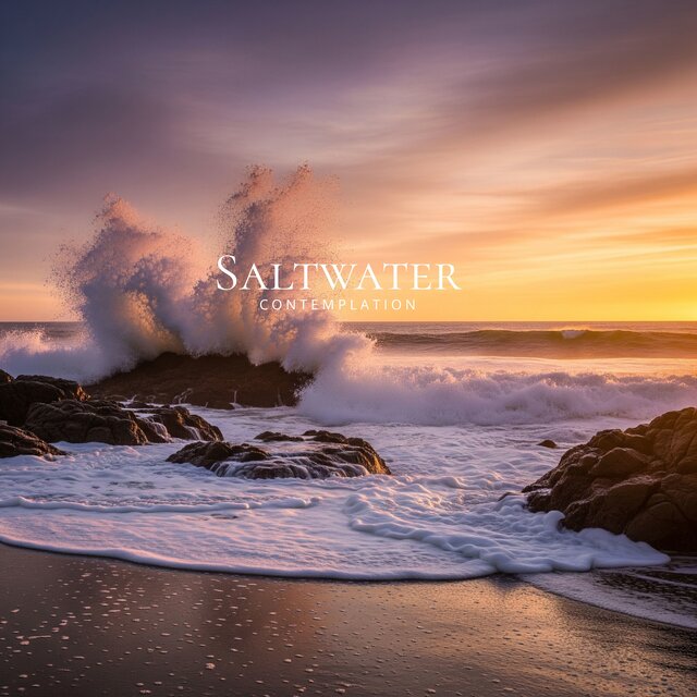 Saltwater Contemplation