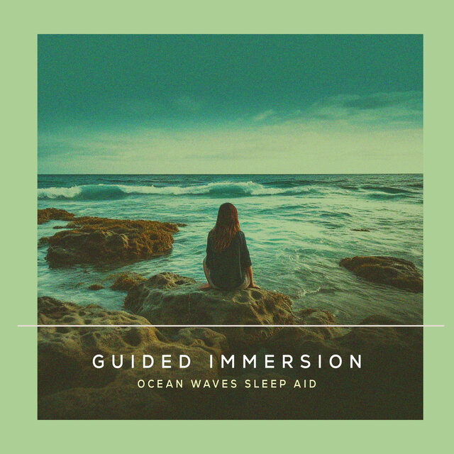 Guided Immersion