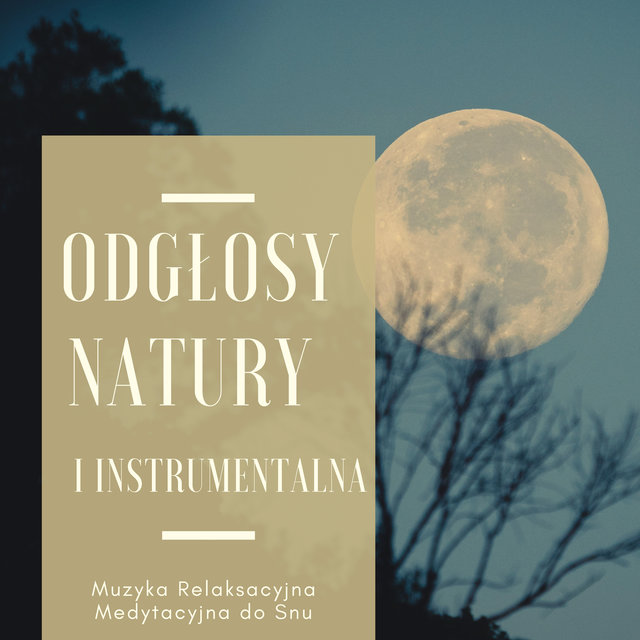 Odgłosy Natury i Instrumentalna - Muzyka Relaksacyjna Medytacyjna do Snu