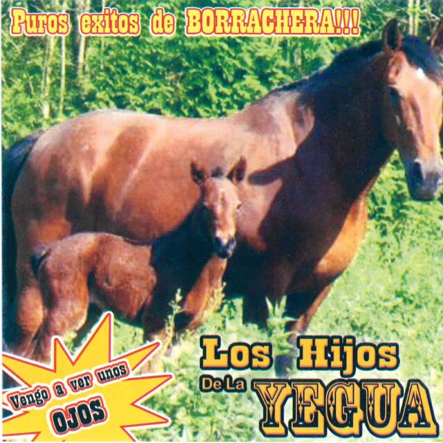 Vengo a Ver Unos Ojos Puros Exitos de Borrachera