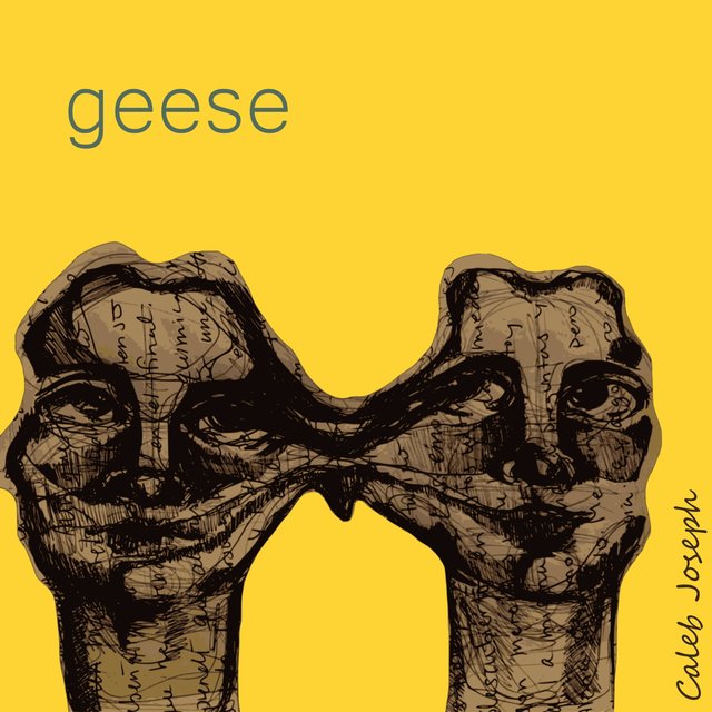 geese