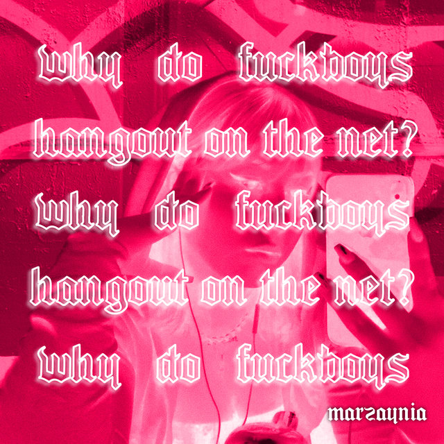 why do fuckboys hangout on the net? (Remix)