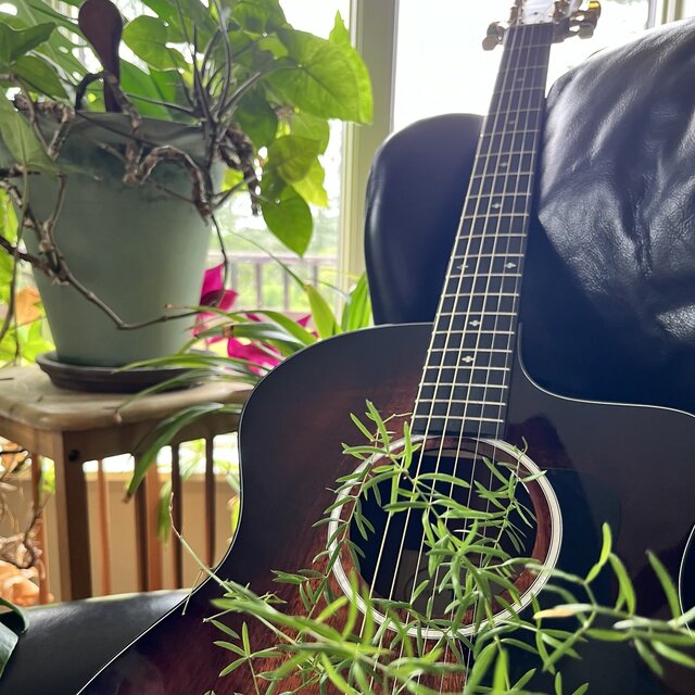 Acoustic Taylor