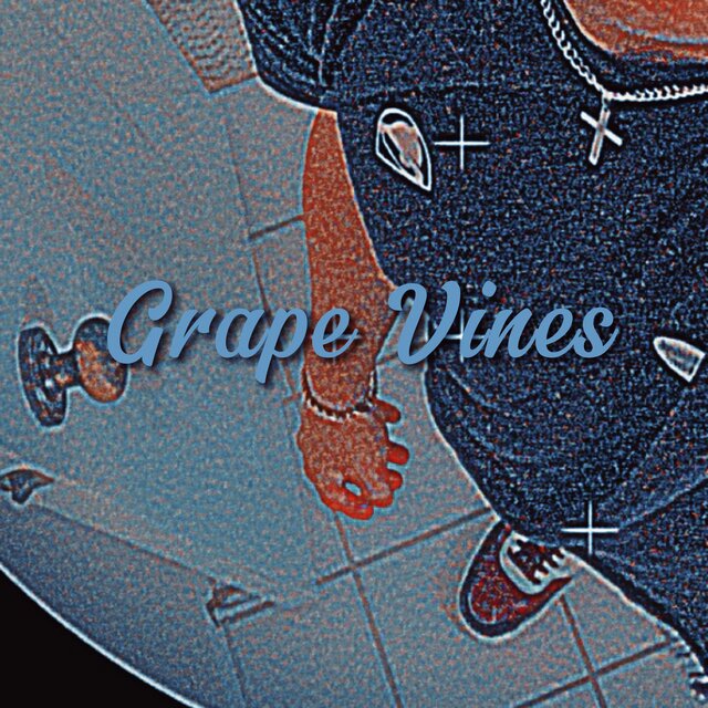 Grape Vines