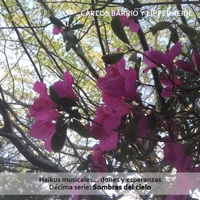 Haikus Musicales... Dones y Esperanzas. Décima Serie: Sombras del Cielo