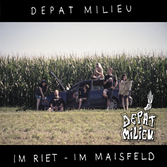 Im Riet - im Maisfeld