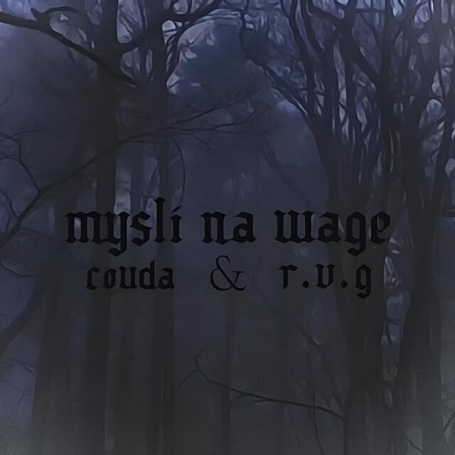 Myśli na wagę