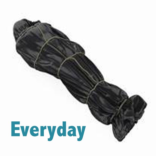 Everyday