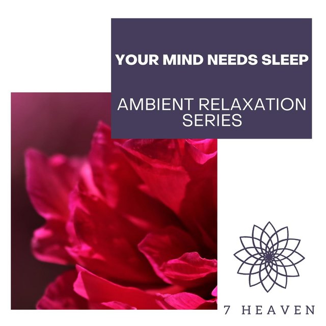 Your Mind Needs Sleep - Ambient Relaxation Series