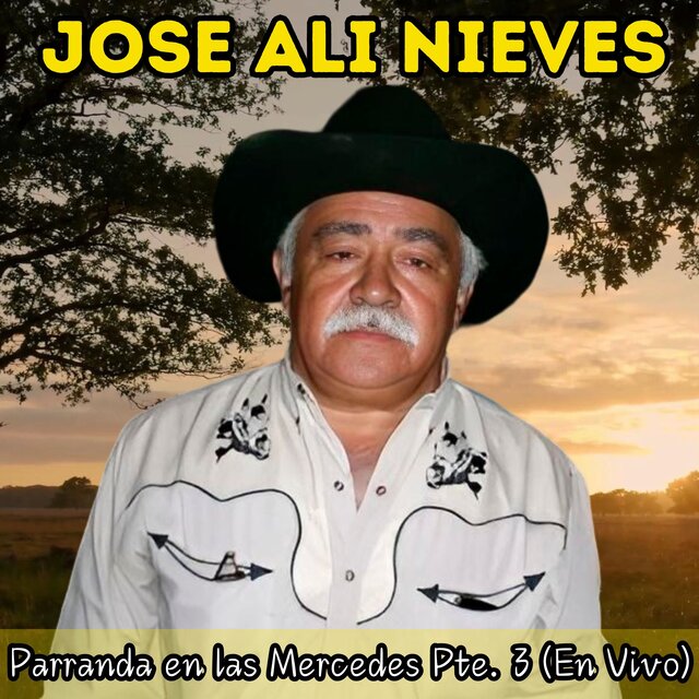 Parranda en las Mercedes, Pte. 3 (En Vivo)