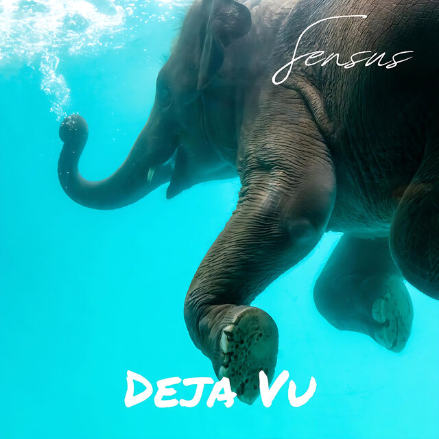 Deja Vu