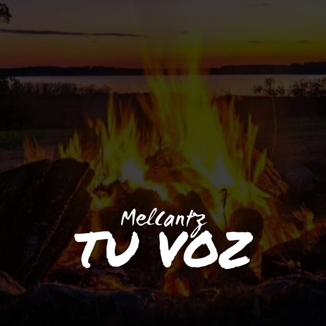 Tu Voz
