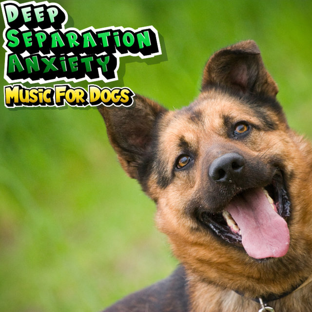 Soothing Dog Music For Relaxation Stress Relief & Sleep