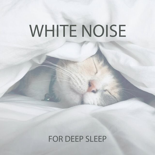 White Noise for Deep Sleep