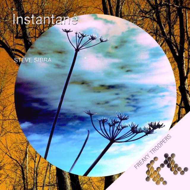 Instantané