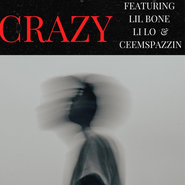 Crazy (feat. Lil Lo & Ceemspazzin)