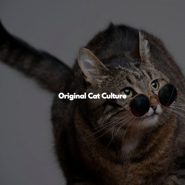 Original Cat Culture