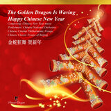 Celebration in the Lantern Festival