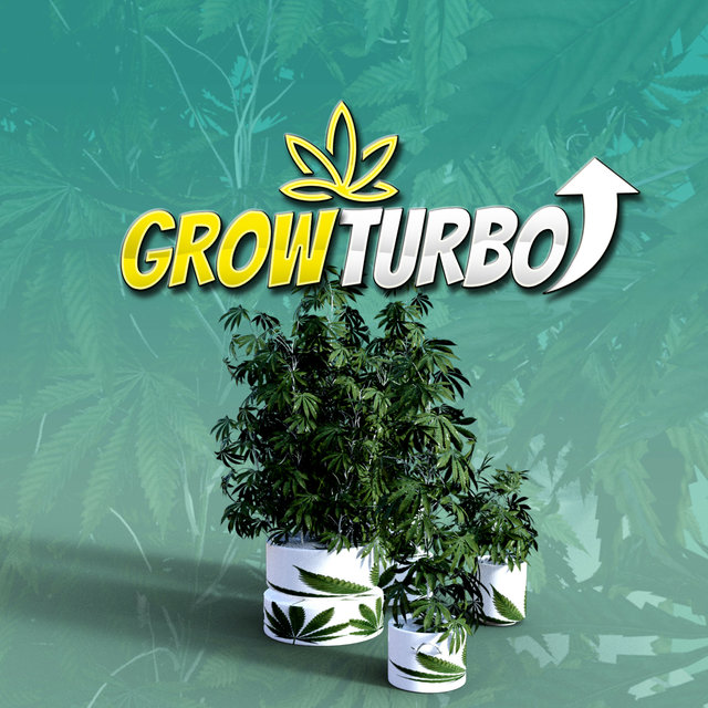 Cannabis Grow Vegetation Frequencies