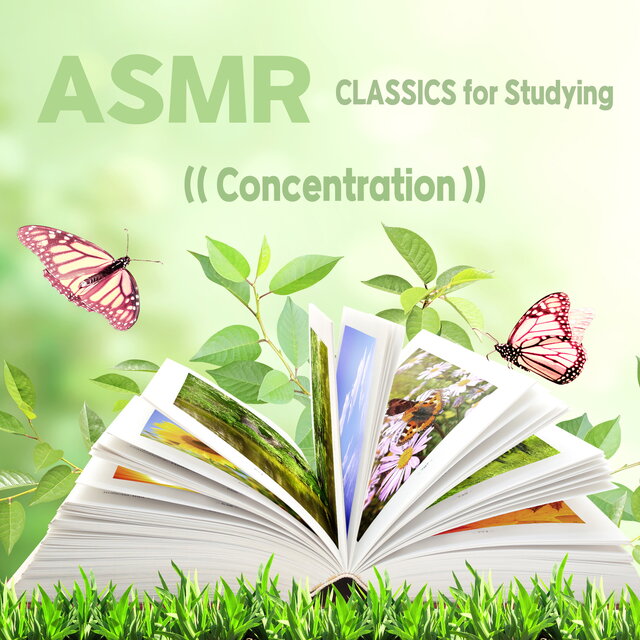 공부가 잘되는 집중력 향상 ASMR 클래식