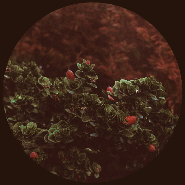 Everything / Feel The Same