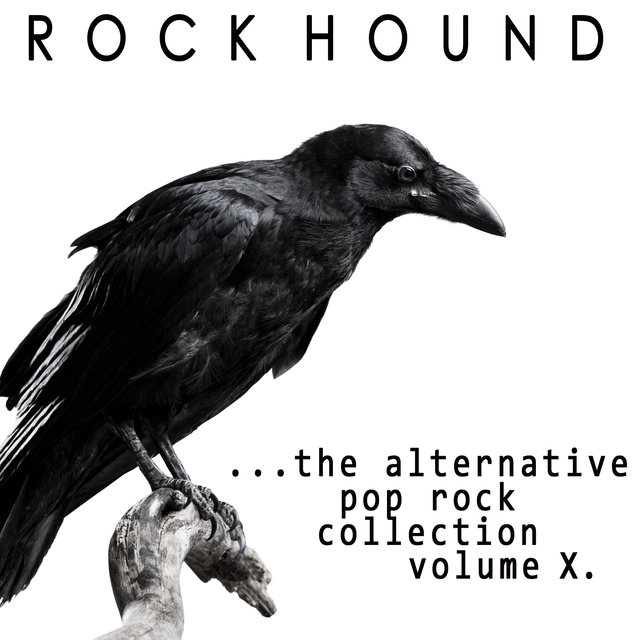 Rock Hound: Alternative Pop Rock, Vol. 10