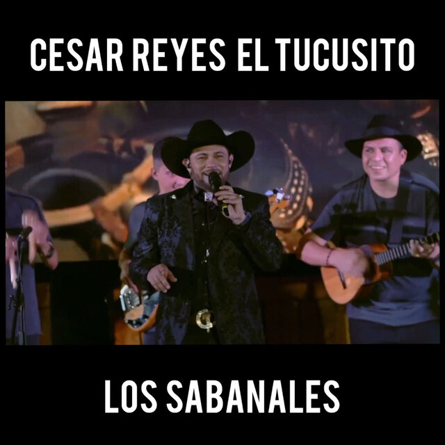 Los Sabanales (En Vivo)