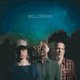 Cover art for album Awesome Life Decisions by Willodean