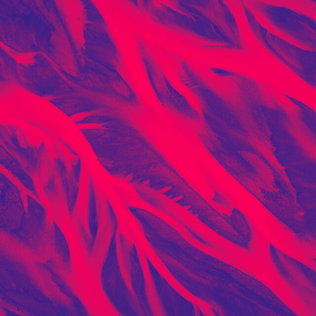 Veins