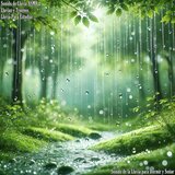 Sonido Refrescante de la Lluvia en el Campo