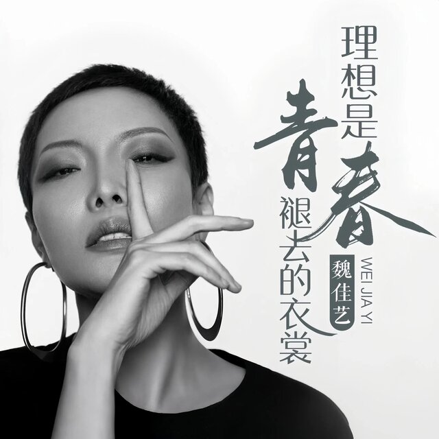 理想是青春褪去的衣裳（DJ Mix）