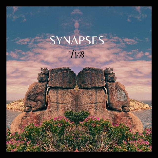 Synapses