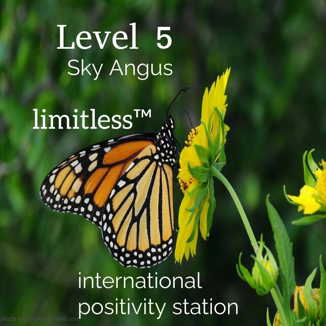 Level 5