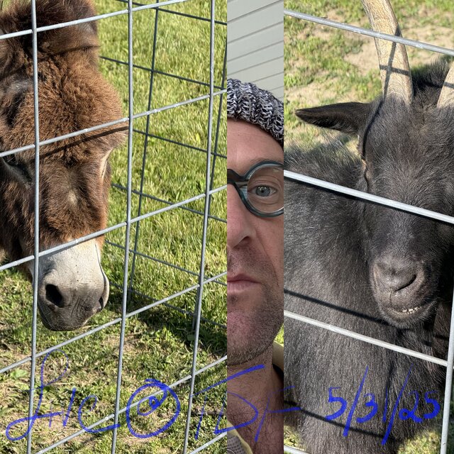 Live Peace Vol. 8 (Live @ The Donkey Farm 5/31/25) (Live)