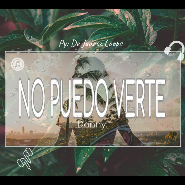 No Puedo Verte