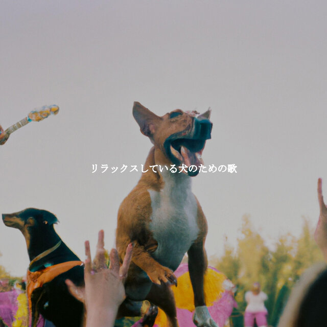 リラックスしている犬のための歌
