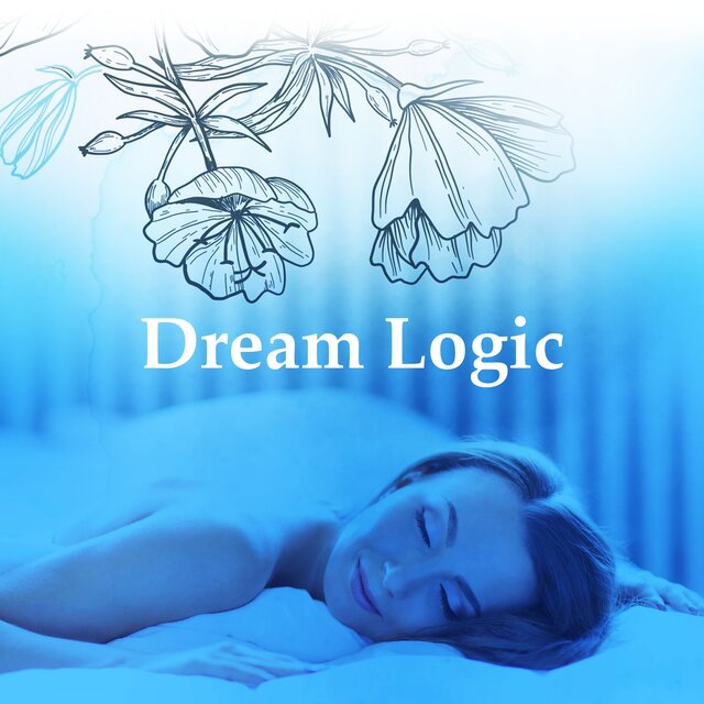 Dream Logic