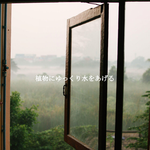植物にゆっくり水をあげる