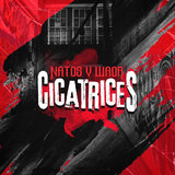 Cicatrices