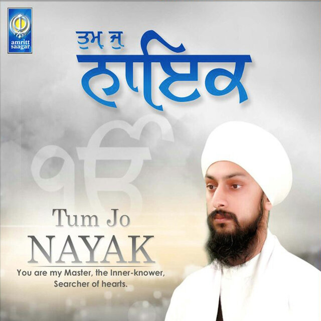 Tum Jo Nayak