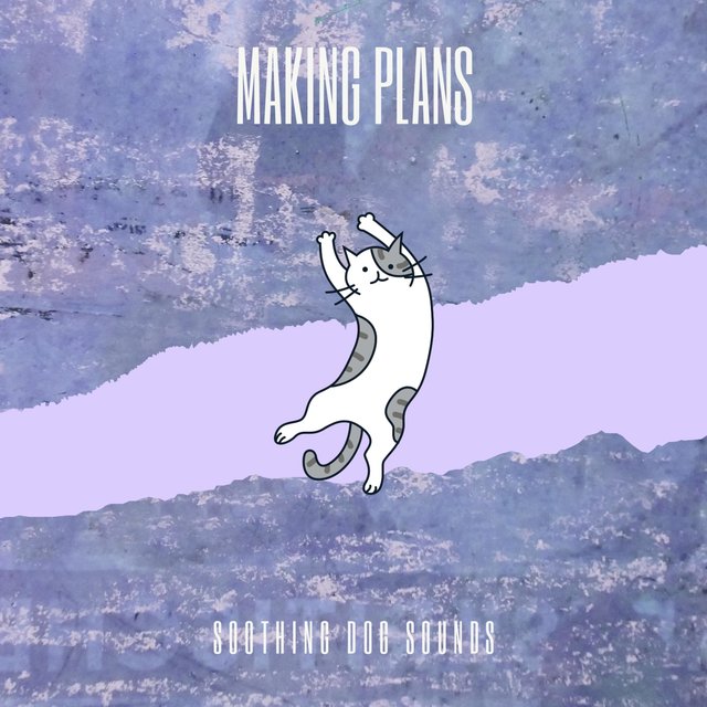Making Plans