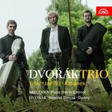 Piano Trio No. 4 in G Minor, Op. 90, B. 166 