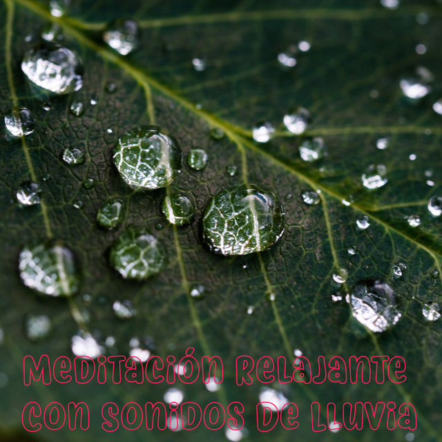 Meditación Relajante Con Sonidos De Lluvia, Recopilación De Sonidos De Lluvia Para Conciliar El Sueño, Estudio, Concentración, Zen, Yoga, Masaje, Insomnio