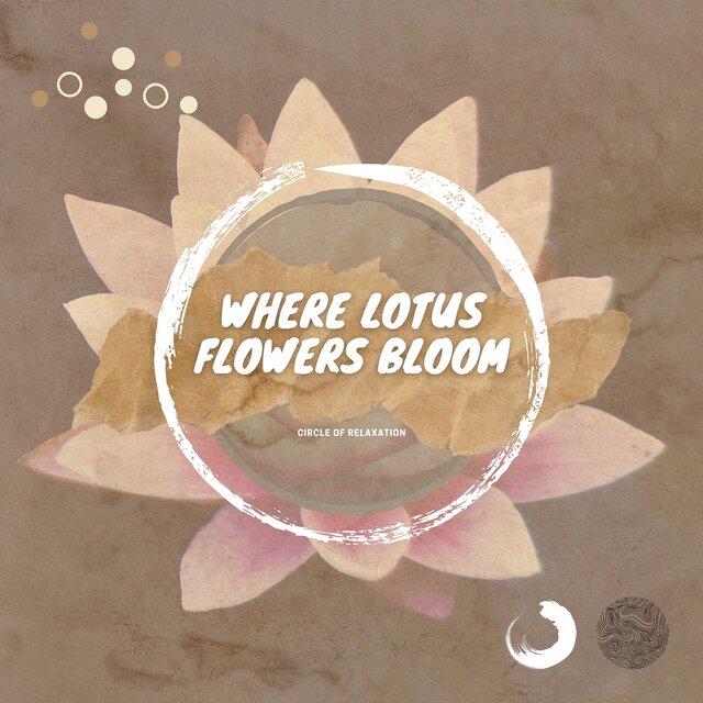 Where Lotus Flowers Bloom