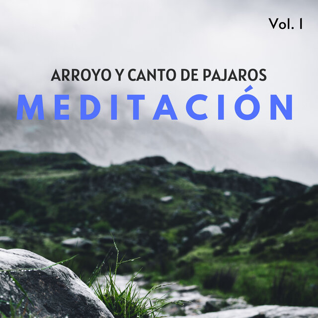Meditación: Arroyo De Montaña Con Canto De Pájaros Vol. 1