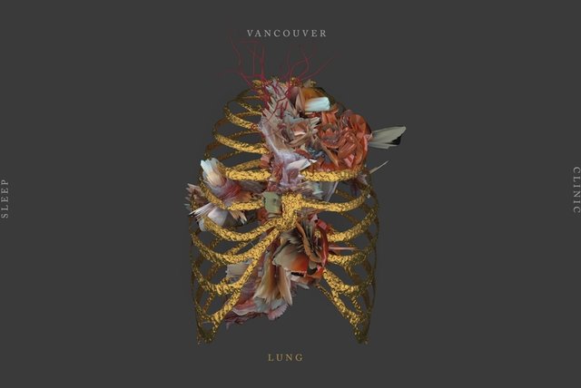 Lung Animated Video By Vancouver Sleep Clinic On Tidal lung animated video