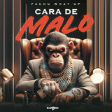 Cara De Malo